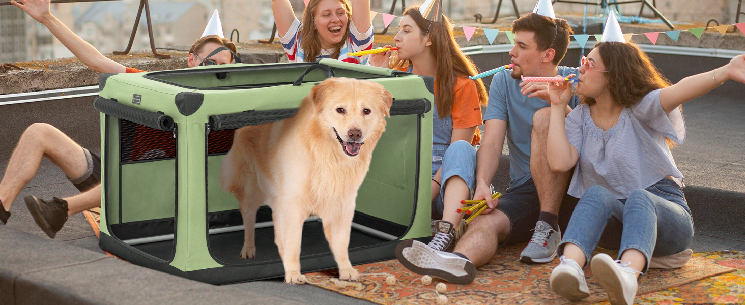 dog carrier