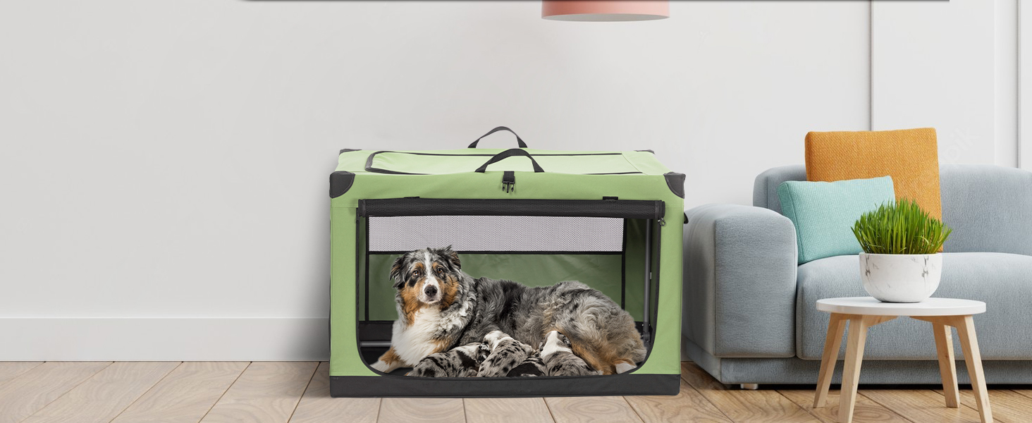 dog carrier