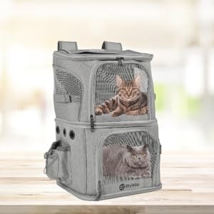 Double layered for two small pets or one medium