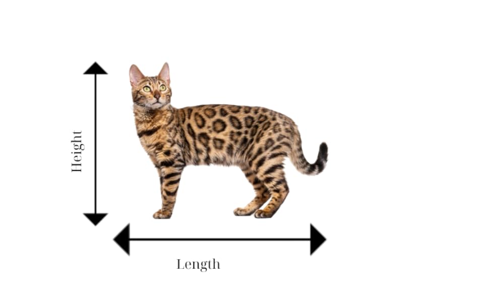 Measurement