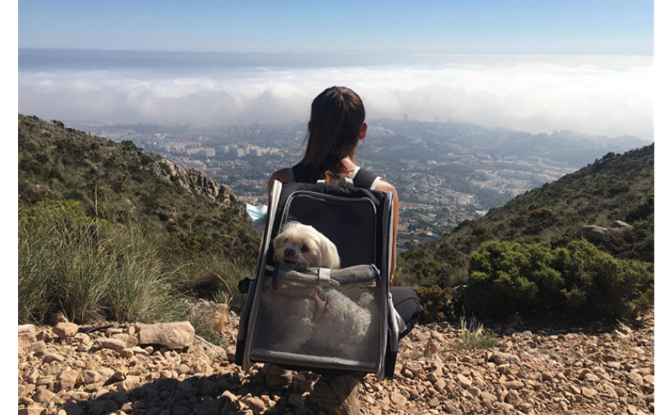 backpack for pets