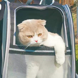 pet carrier