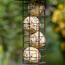 peckish extra goodness balls
