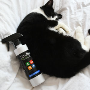 cat spray eliminator cat urine odour remover