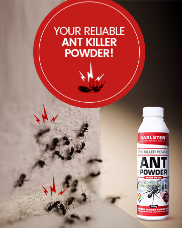 Ant Killer Powder