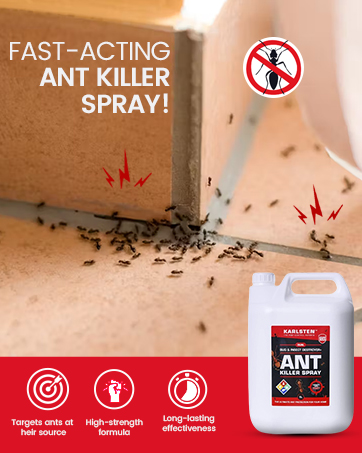 Ant killer spray