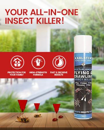 Insect Killer