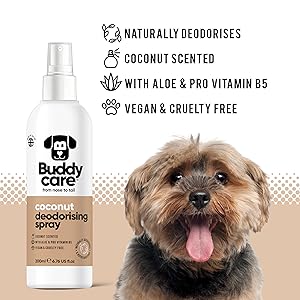 Buddycare