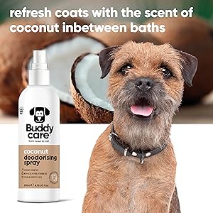 Buddycare