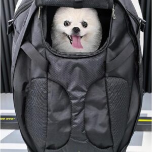 2024 New SHCihui Large Pet Backpack| Dog Backpack for Most Dog Sizes Travel&Hiking Pet Carrier Backpack with Safety leash More large Ventilations Double-layer Structure