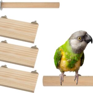 4 PCS Solid Wood Bird Stand, Parrot Play Perch & Nest, Cage Accessories for Birds, Small Animals & Reptiles - Suitable for Poultry, Rodents, & Soft-Bodied Reptiles