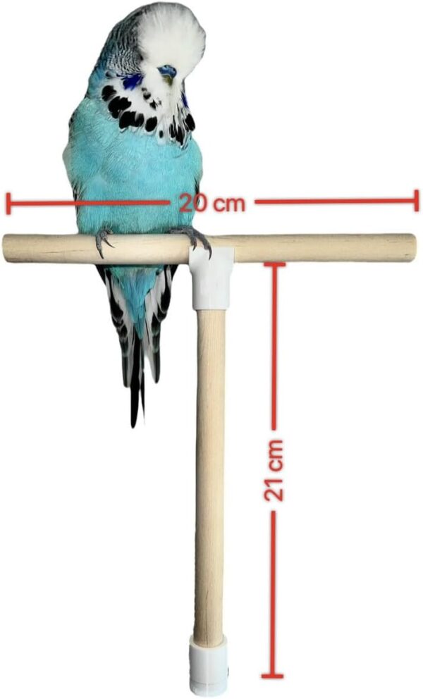 T Shape Bird Perch Stand For Small To Medium Size Birds, Natural Wooden Bird Cage Perch For Budgie, Finch etc - Image 2