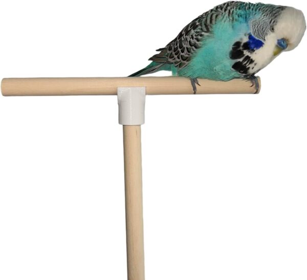 T Shape Bird Perch Stand For Small To Medium Size Birds, Natural Wooden Bird Cage Perch For Budgie, Finch etc - Image 5