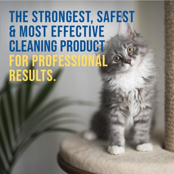 Professional Strength Cat Urine Destroyer - Eliminate Cat Urine Odor and Prevent Future Territory Marking - Image 5