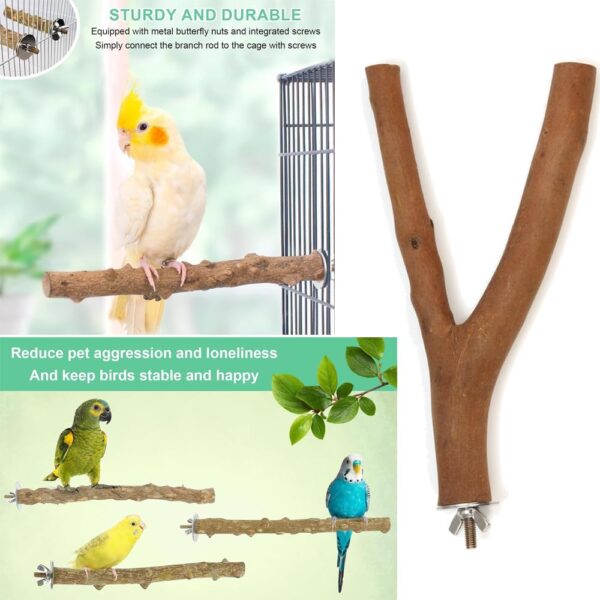 Natural Wood Parrot Stand Set, 5 pcs Bird Perch Birdcage Stand Branch, Platform Cage Accessories for Parrotlets Budgies Cockatiels Parakeets Lovebirds - Image 6