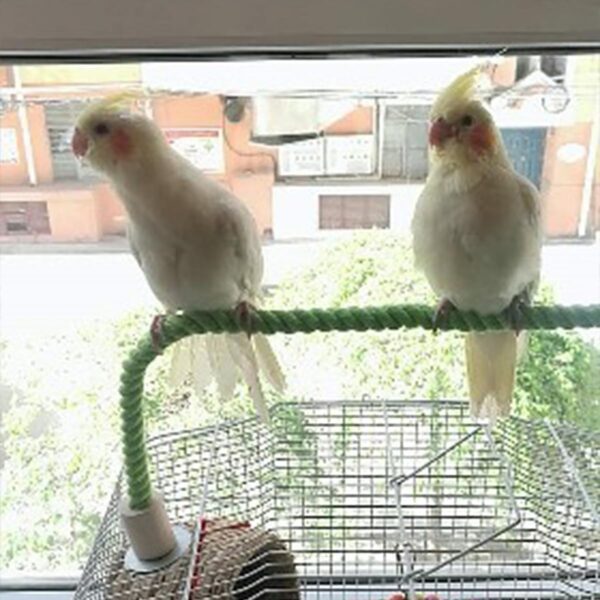 Bird Perch-Parrot/Parakeet/Parakeet Cage Rope Bungee Toys Light Green (55cm) - Image 4