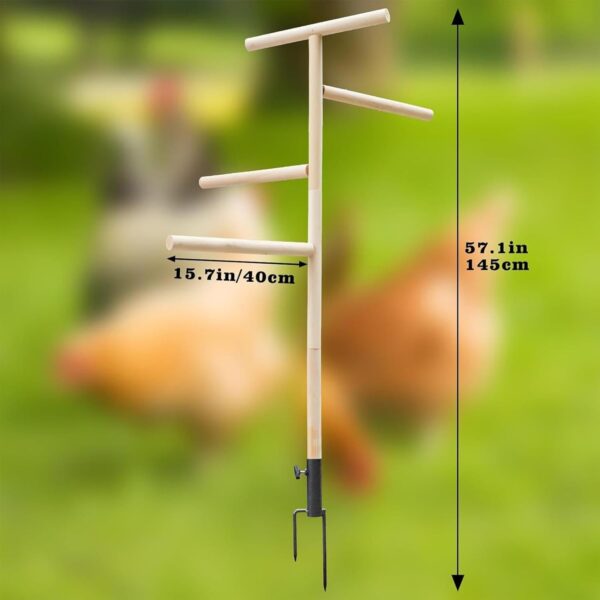 Chicken Perch for Coop - Outdoor Poultry Chicken Stand Perch Toy,Playground Birds Training Branch Perch with Ground Plug for Cockatiels, Parrots, Turkeys, Hens, Lovebirds - Image 6