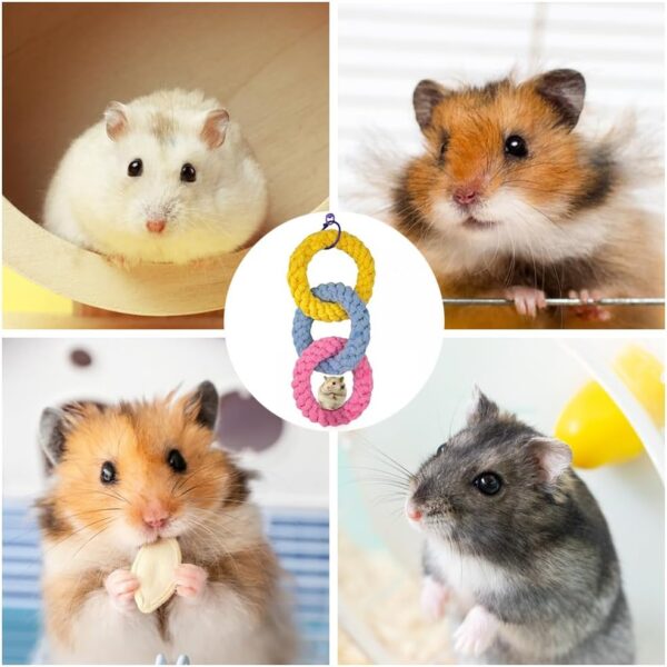 MEISH Hanging Three-Ring Climbing Toys Sugar Glider Swing Cage Toy Climbing Exercising Plaything Pet Toy for Parrots Hamster Bird - Image 6