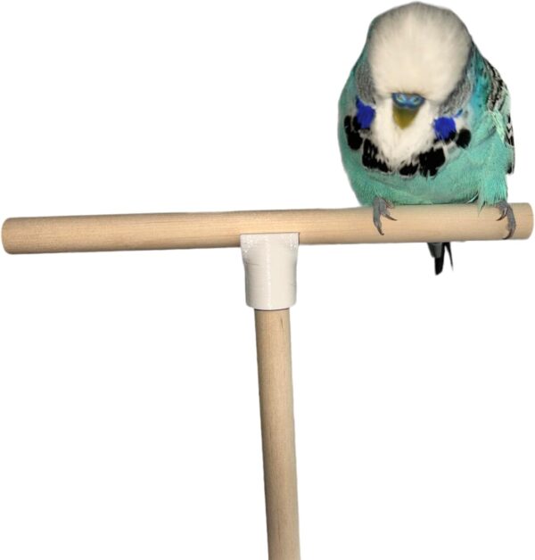 T Shape Bird Perch Stand For Small To Medium Size Birds, Natural Wooden Bird Cage Perch For Budgie, Finch etc - Image 7