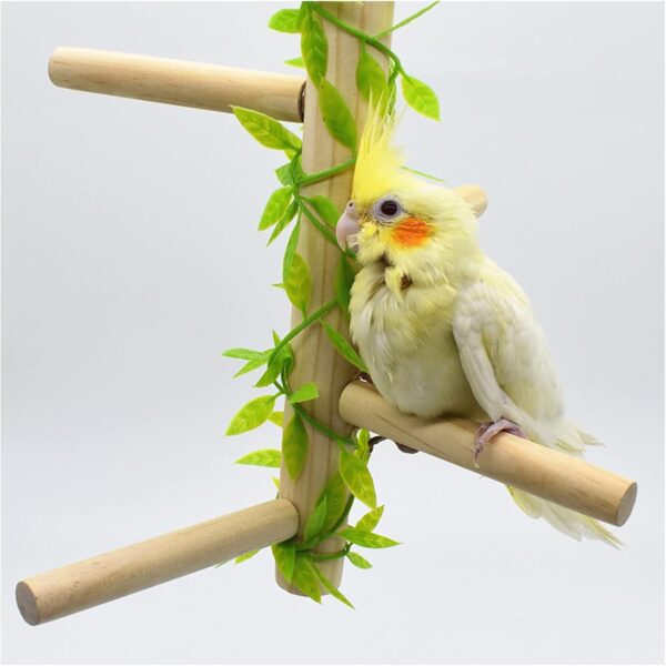 Andiker Bird Perches, Natural Tree Branch Birdcage Pole with Green Leaves, Paw Grinding Stick, Parrot Chew Toys for Parrots, Macaws, Parakeets, Conures, Cockatiel, Budgie (1pc) - Image 5