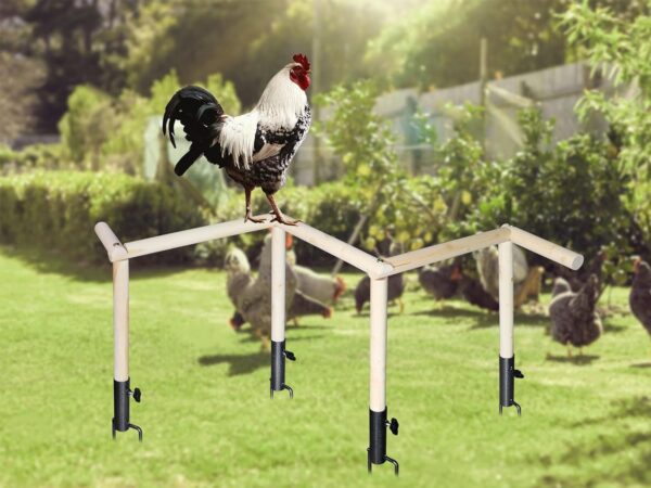 Large Chicken Perch Toy for Coop, Wooden Chick Perch Stand with Metal Ground Plug, Chicken Coop Backyard Poultry Accessories, Suitable for Poultry Rooster Chicks Large Bird Parrot - Image 4