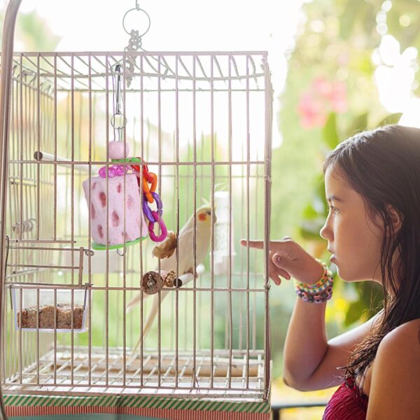 Hioph 2 Pcs Parrot Toy, Bird Chewing Toy Natural Materials Beak Grinding Stones Toys Parrot Cage Hanging Decorations for Small Animals, Parrot, Macaw, Parakeet, Lovebirds(Pink+Grey - Image 6