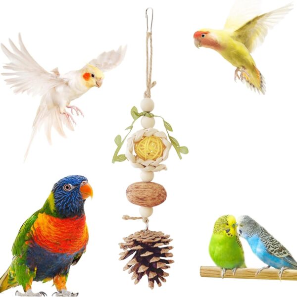 Allazone 5 PCS Natural Bird Chewing Toys Bird Foraging Shredding Toys Shredder Chewing Toy, Wooden Parrot Perch Stand Perch Bird Stand for Small Lovebirds Budgies Cockatiels - Image 4