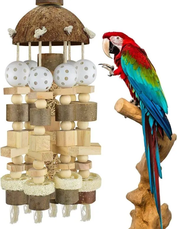 Dedjgoo Bird Parrot Toy, Parrot Toy Natural Wooden Blocks Bird Chewing Toy Parrot Cage Bite Toy Suits for Macaws Parrots - Image 3