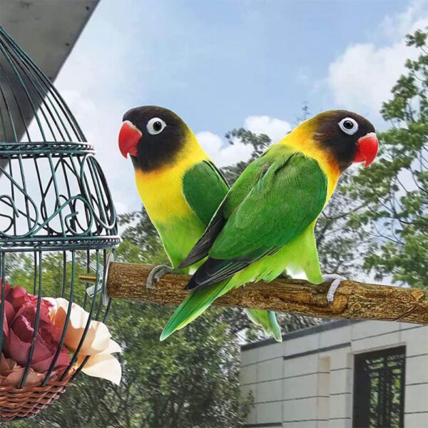 BDHI 5pcs Bird Perch Stand Bird Parrot Perches for Cage Perches for Bird Cages Natural Wood Perch Parakeet Toys for Parakeets Cockatiels Conures Macaws Finches Love Birds(Y147-5) - Image 5