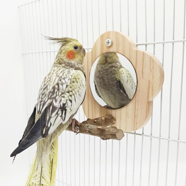 Tevimpeya 12 * 6 * 14. 5CM Bird Parrot Mirror with Wooden Perch, Wooden Parrot Mirror Toy for Bird Cage for Small Parrot, Parakeet, Cockatiel, Lovebird, peppercorn wood stand - Image 2