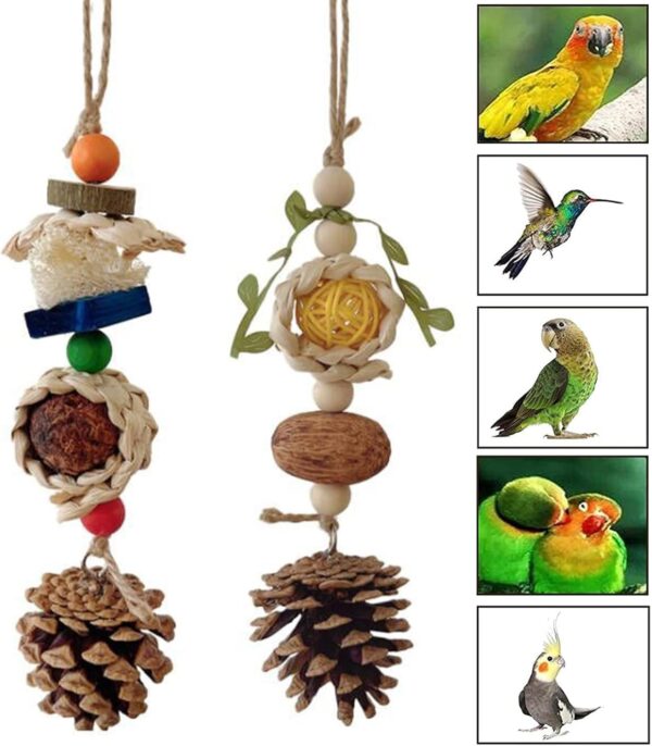 Allazone 5 PCS Natural Bird Chewing Toys Bird Foraging Shredding Toys Shredder Chewing Toy, Wooden Parrot Perch Stand Perch Bird Stand for Small Lovebirds Budgies Cockatiels - Image 7