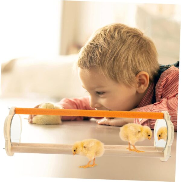 Yardwe 5pcs Chicken Stand Parrot Training Rack Bird Perch Stands Wood Bird Standing Rack Cockatiel Stand Bird Standing Stand Chick Perch Toy Table Bird Perch Office Chew Wooden The Swing - Image 7