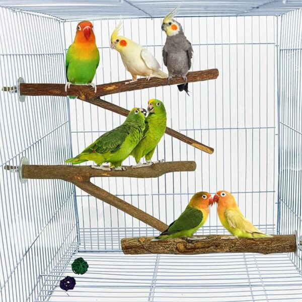 BDHI 5pcs Bird Perch Stand Bird Parrot Perches for Cage Perches for Bird Cages Natural Wood Perch Parakeet Toys for Parakeets Cockatiels Conures Macaws Finches Love Birds(Y147-5) - Image 3