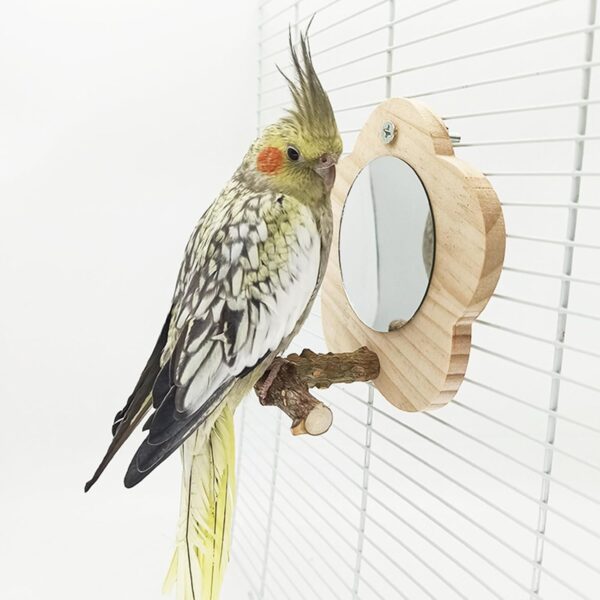 Tevimpeya 12 * 6 * 14. 5CM Bird Parrot Mirror with Wooden Perch, Wooden Parrot Mirror Toy for Bird Cage for Small Parrot, Parakeet, Cockatiel, Lovebird, peppercorn wood stand - Image 4