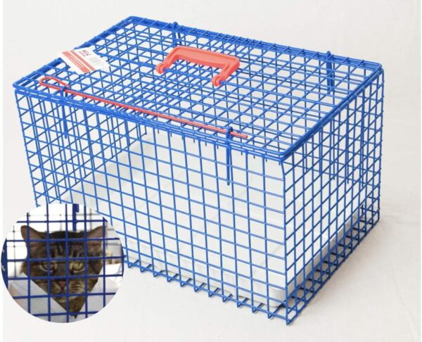 MDC Cat Carrier, all round view, great for travel, ideal for vets visits, top opening, Blue - Image 6
