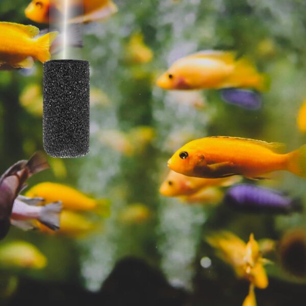 Rumyve 8 Pcs Aquarium Pump Sponge Filters,Safe Reuasble Sponge Pre-Filter,Sponge Cover Replacement Filters for Fish Tank Aquarium Pump Filtring - Image 3