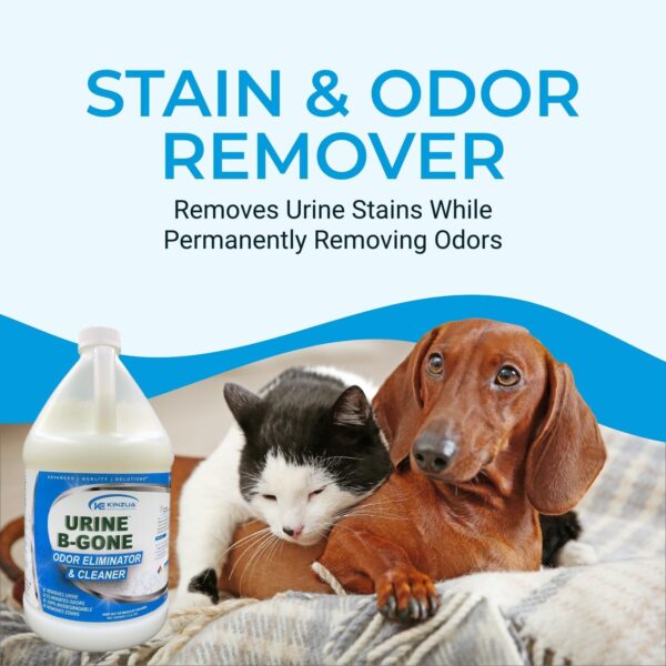 KINZUA ENVIRONMENTAL Urine B-Gone, Professional Enzyme Odor Eliminator & Pet Stain Remover, Human, Cat & Dog Urine Cleaner, Effective on Laundry, Carpets & More (3.79Liter (Pack of 1), Original) - Image 2