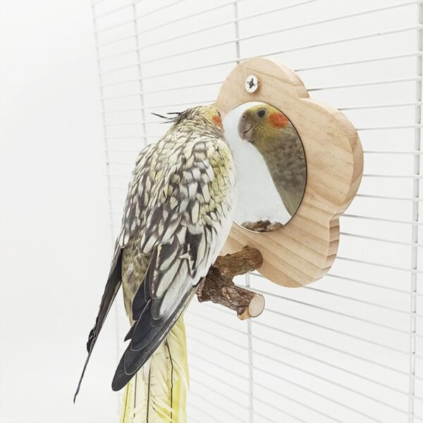 Tevimpeya 12 * 6 * 14. 5CM Bird Parrot Mirror with Wooden Perch, Wooden Parrot Mirror Toy for Bird Cage for Small Parrot, Parakeet, Cockatiel, Lovebird, peppercorn wood stand - Image 3