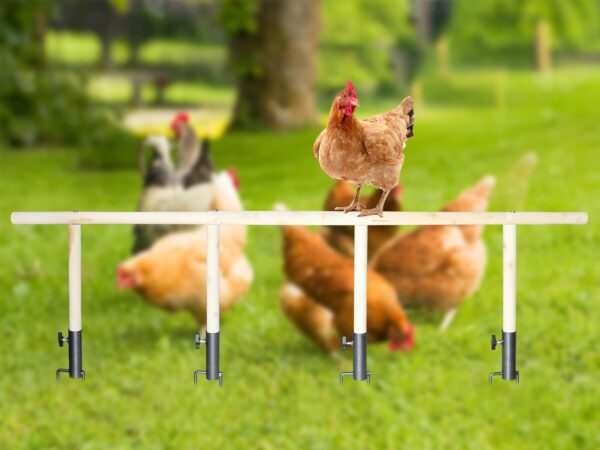 Large Chicken Perch Toy for Coop, Wooden Chick Perch Stand with Metal Ground Plug, Chicken Coop Backyard Poultry Accessories, Suitable for Poultry Rooster Chicks Large Bird Parrot - Image 2