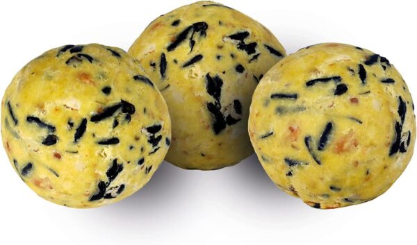 Peckish Extra Goodness Energy Ball 50 Tub, 60051413 - Image 5