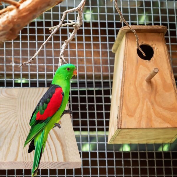 2 PCS Bird Platform,Climbing Platform Pet Platform Bird Wooden Platform,Hamster Wooden Platform Parrot Perches Stand Platforms,Bird Platform Toys Suitable for Small Animal Pets Toy - Image 4