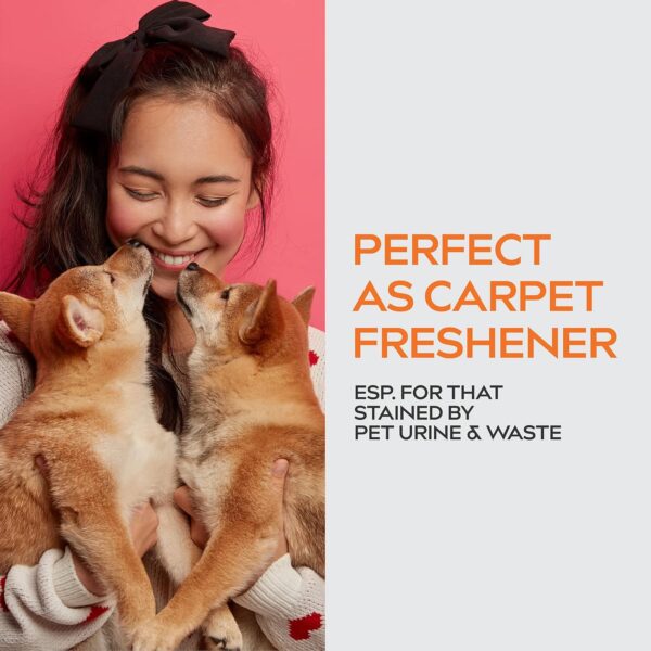 Dynamic Element Pet Odour Eliminator Spray for Strong Odour - Carpet Smell Freshener with Mineral Formula - Unscented Odour Remover for Dog Pee and Cat Urine Smells on Carpet - 9 Fl Oz (266 ml) - Image 2