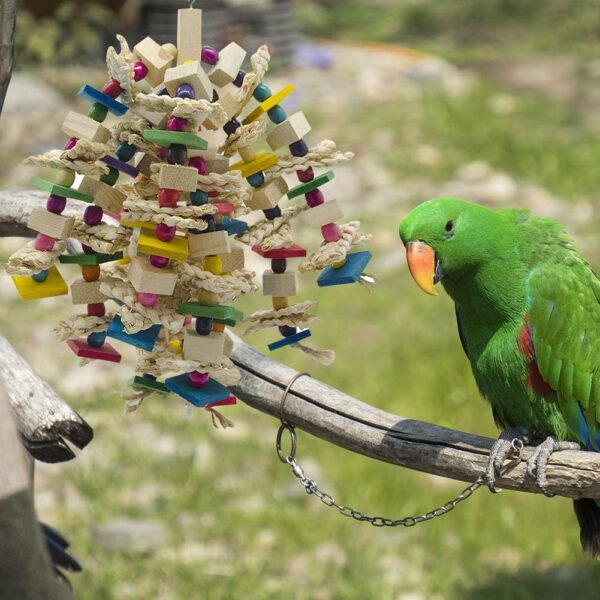 MQFORU Bird Toy Parrot Toy Made with Nature Wood, Parrot Toys for Large and Medium Birds, Best Toys for African Grey, Parakeets, Amazon Parrots, Finch, Budgie, Cockatiels, Conures ect - Image 5