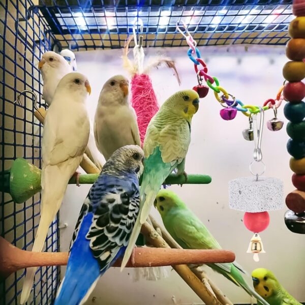 JNAWA 3Pieces Bird Teeth Grinding Chew Treats Toy with Bell Beak Grinding Stones Toys Parrot Cages Training Hanging Chew Toys Bird Cage Accessories for Parakeets Lovebirds - Image 5