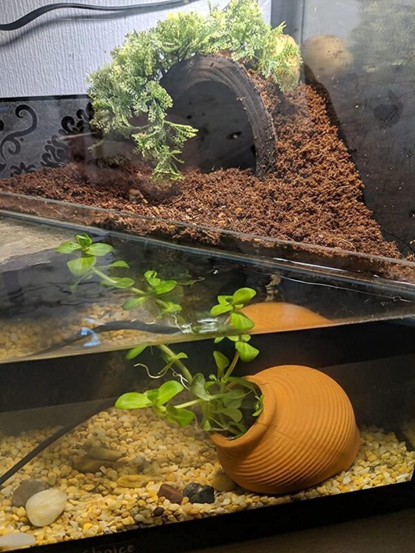 Saim Ceramic Jar Aquarium Decorations Fish Tank Cave Breeding Cones Cave Fish Tank Ornaments for Betta Fish Amano Shrimp Cichlid Bonsai to Play, Hide and Rest, Yellow - Image 2