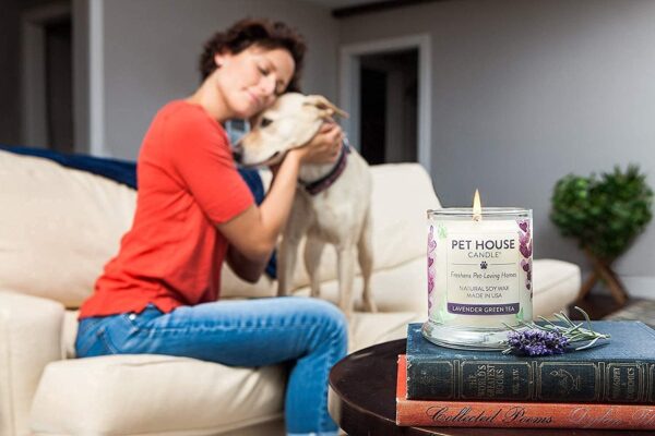 One Fur All - 100% Natural Soy Wax Candle- Pet Odour Eliminator, Up To 60 Hours Burn Time, Non-toxic, Reusable Glass Jar Scented Candles – Pet House Candle (Vanilla Sandalwood) - Image 7