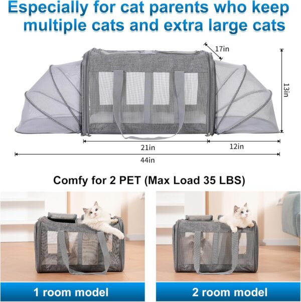 Pawlen Large Cat Carrier for 2 Cats with Removable Soft Pad(43.3 x 17 x13Inches), Collapsible&Expandable Pet Carrier for Large Cats and Small Dogs 35 LBS,Breathable Mesh Top,Safety Harness (Grey, L) - Image 2