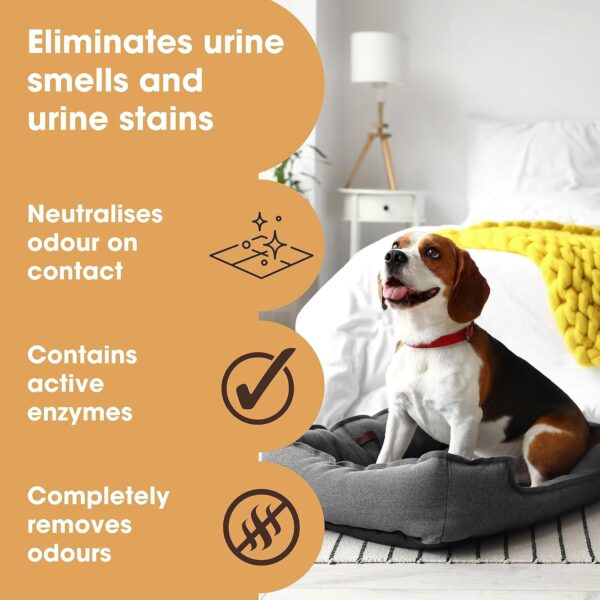 Furniture Clinic Urine Remover - Completely Eliminates Odours and Staining Caused by Urine - Urine Neutraliser - Pet Stain and Odour Remover - Enzyme Cleaner - 500ml - Image 2