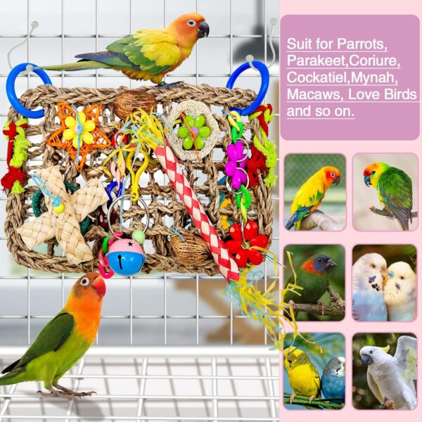 Parrot Toys BudgieToys and Accessories, Bird Toys Foraging Wall with Various Colorful Cockatiel Chewing Toys, Edible Seagrass Woven Climbing Hammock Mat for African Grey Parakeets Conures Lovebirds - Image 5