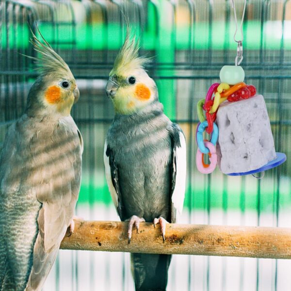 Hioph 2 Pcs Parrot Toy, Bird Chewing Toy Natural Materials Beak Grinding Stones Toys Parrot Cage Hanging Decorations for Small Animals, Parrot, Macaw, Parakeet, Lovebirds(Pink+Grey - Image 5